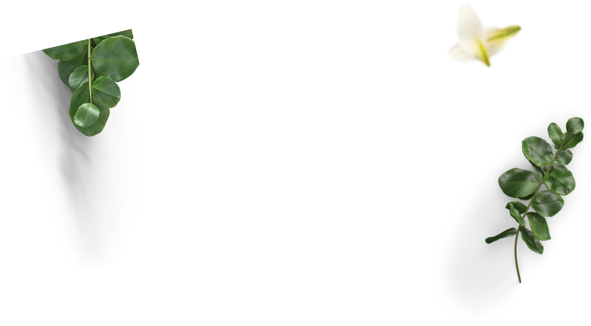 s5